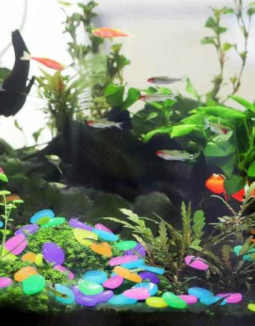 Glow in the Dark Decorative Stones – 100 Luminous Pebbles